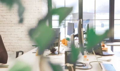 pexels-polina-zimmerman-3747102_edit